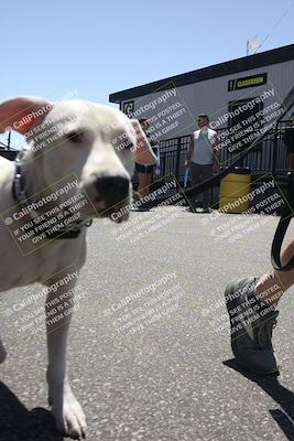 media/Apr-26-2025-BRL Bagger Racing League (Sat) [[9e270f465f]]/6-Liquid and Air Cooled Twins Race/